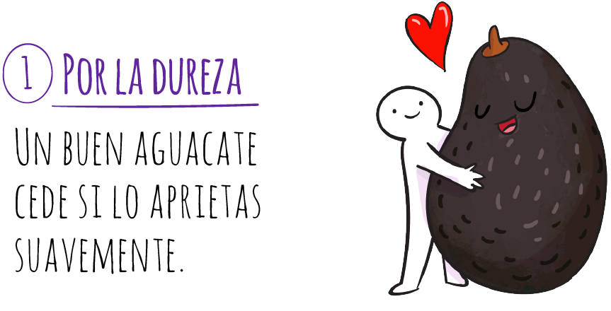 aguacate-hass-1-por-la-dureza