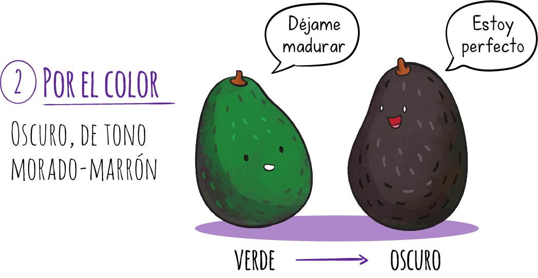 aguacate-hass-2-por-el-color
