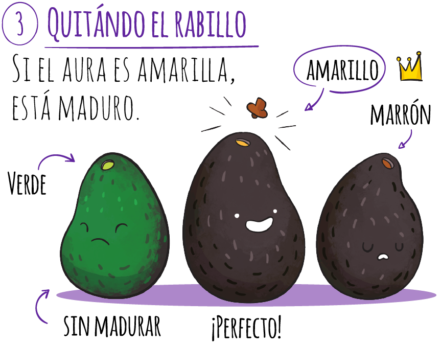 aguacate-hass-3-quitando-el-rabillo