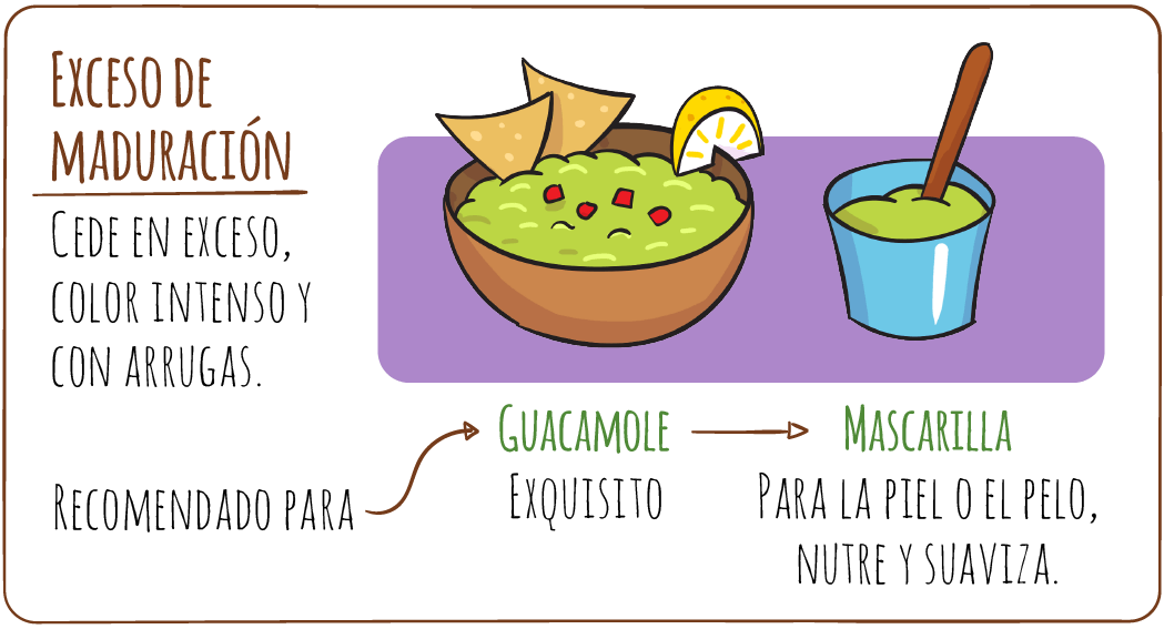 aguacate-hass-exceso-de-maduracion