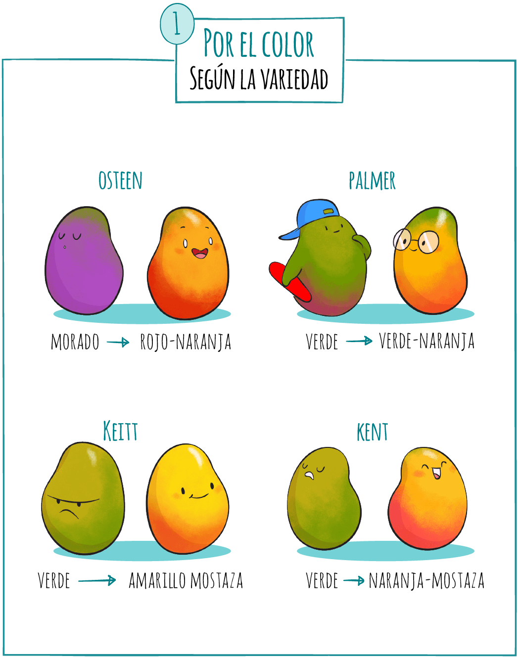 mango-1-por-el-color
