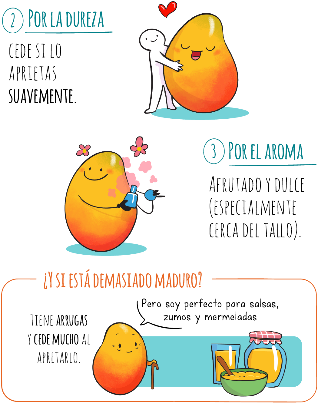 mango-2-por-la-dureza